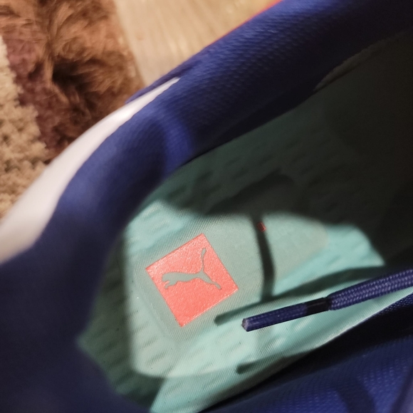 Puma R 2 systems - Picture 7 of 8